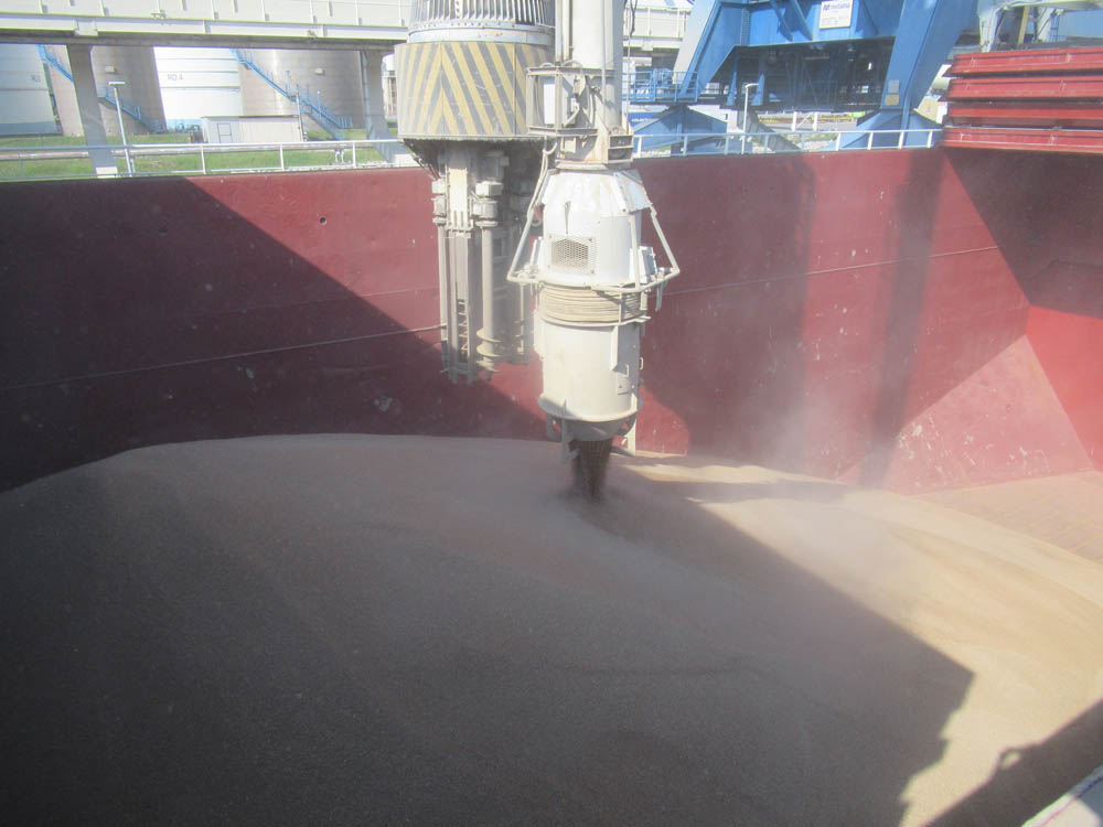 Supervision and sampling of wheat