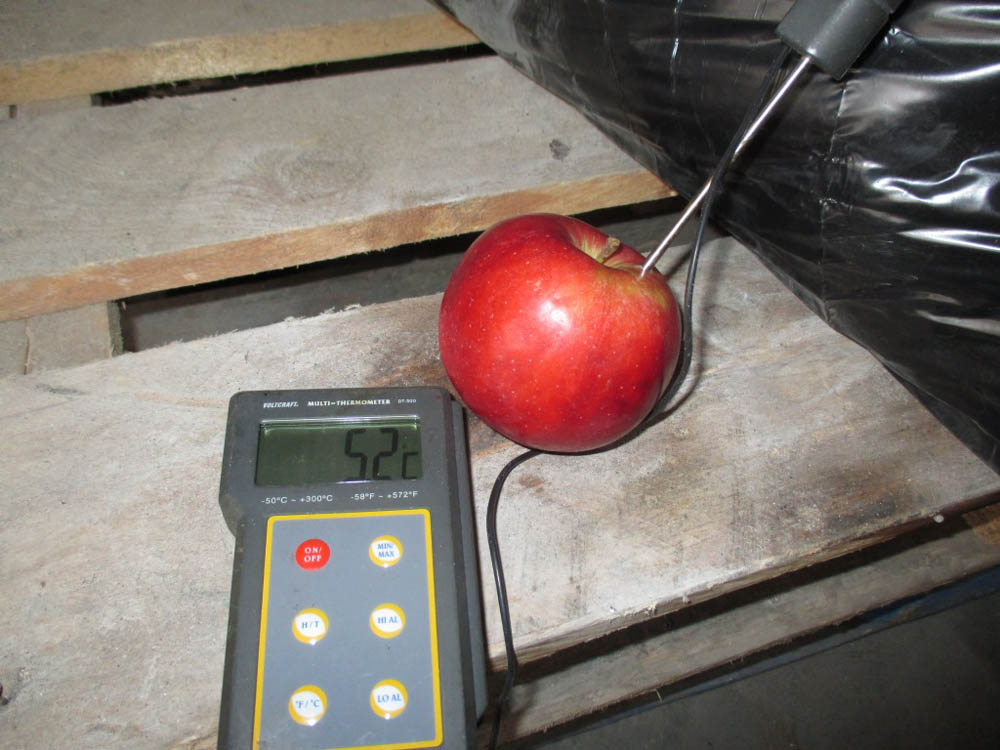 Fruit and vegetables control