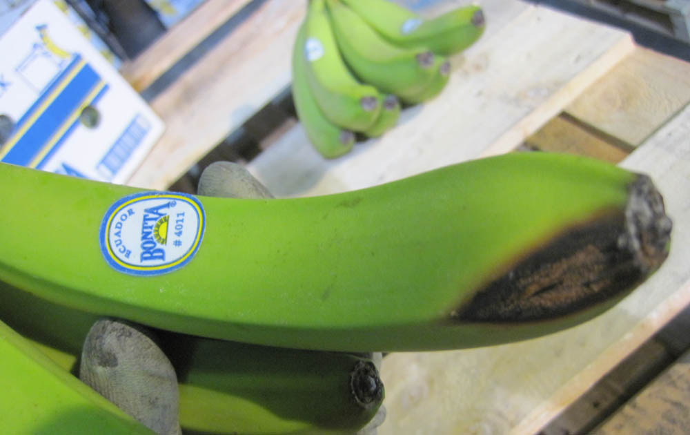 Fruit and vegetables control