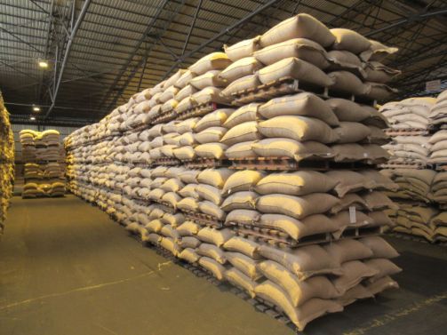 Coffee, cocoa and rice Inspection