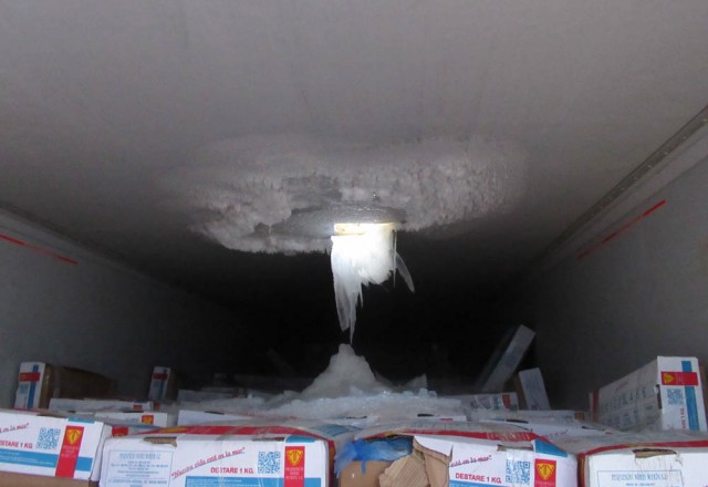 Assessment of damages and reconditioning of damaged goods